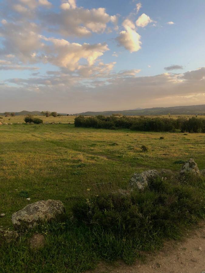 El Lago Cervera de Buitrago Kültér fotó